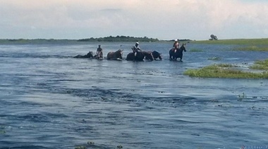 Declaran la Emergencia Agropecuaria para los distritos inundados