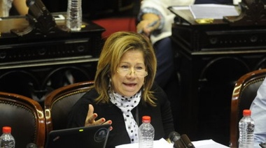 Graciela Camaño señaló que Milagro Sala "no tiene que ser liberada"