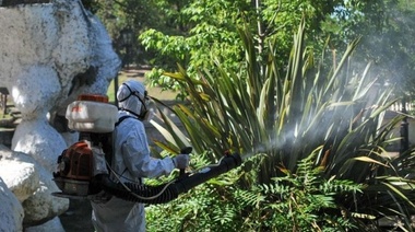 Aseguran que no hay ningún caso confirmado de dengue en La Plata