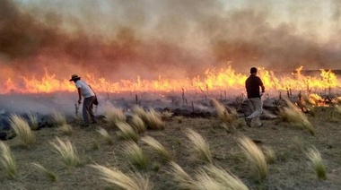 Vidal declarará la emergencia agropecuaria por los incendios