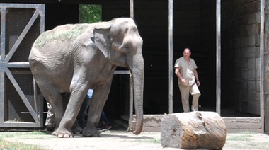 Invertirán más de $12 millones para transformar el Zoo en un Bioparque