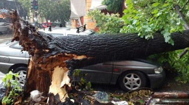 Un fuerte temporal provocó serios destrozos en La Plata