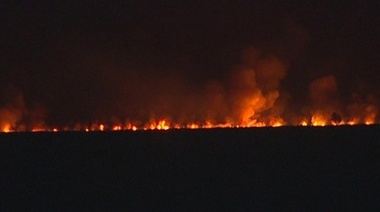 Para Secco, el incendio de la Reserva de Punta Lara fue "intencional"