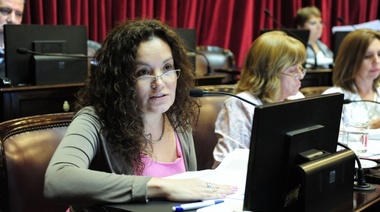 Senadora del FpV hizo una mea culpa sobre Milani