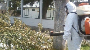 Intensifican las tareas de fumigación en la previa al comienzo de clases