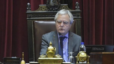 Pinedo manifestó temor ante eventuales escraches a Macri en el Congreso