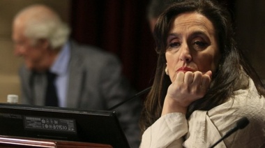 Michetti: "Lo más efectivo sería evitar las elecciones de medio término"