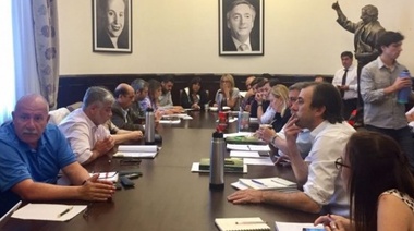 Se unificó el FpV y el PJ en Senado y conquistaron una vicepresidencia