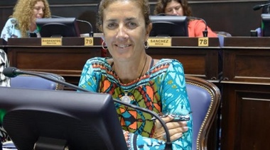 Dieron media sanción a la ley de Software