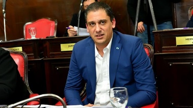 Senador massista se metió en la polémica por los ploteos de los móviles