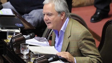 Pinedo descartó la intervención federal de Santa Cruz