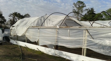 Arreseygor: “El sector hortícola está en crisis hace años no ahora que hay elecciones”