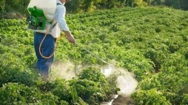 Borgini presentó un proyecto sobre el problema de agroquímicos en la ciudad