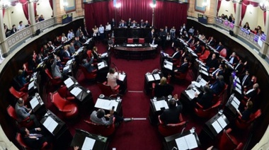 El Senado convirtió en el ley el seguimiento de bebés prematuros