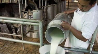 Tamberos aseguran que "no hay soluciones de fondo" a la crisis lechera