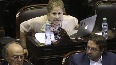 Camaño reclamó excluir a De Vido con un "juicio político institucional"