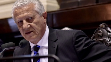 Sarghini: “Es necesario que el gobierno de Vidal desmienta a Carrió”