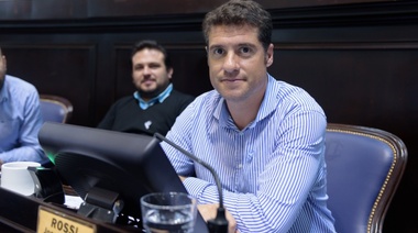 Proponen una Ley que regularice la Equinoterapia para que todos tengan acceso