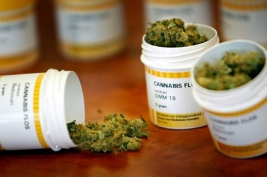 La Provincia promulgó la ley de cannabis medicinal