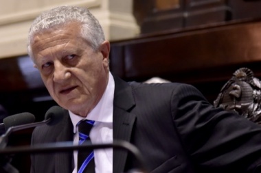 Sarghini: “Es necesario que el gobierno de Vidal desmienta a Carrió”
