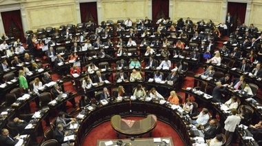 Detectan 200 ñoquis y diversas irregularidades en Diputados