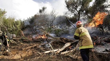 Un incendio destruyó ocho hectáreas de bosques en el sur de Villa Gesell