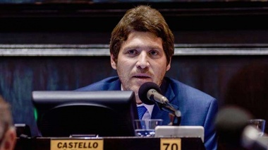 Castello celebró que los ministros no puedan nombrar a los familiares
