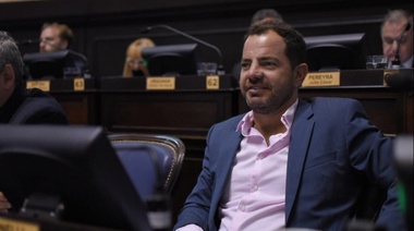 El Frente Renovador logró que avance el proyecto contra Farmacity