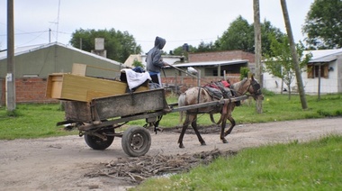 Insólito: Diputado de Cambiemos quiere legalizar los carros