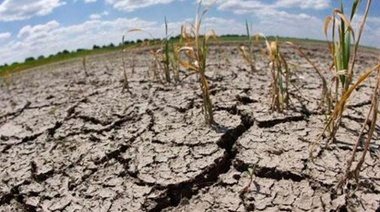 La Provincia declaró la Emergencia Agropecuaria para 27 distritos del interior