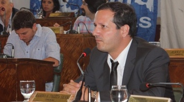 Trezza cuestionó al gobierno por no haber colocado las cámaras antes