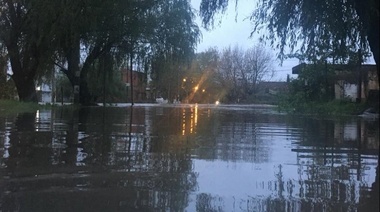 La Plata: "Cayó la lluvia de tres meses en 12 horas"