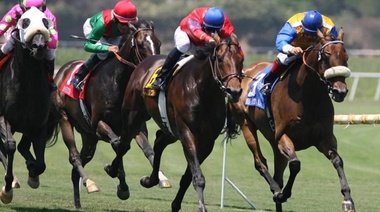 El Frente Renovador votará en contra de la modificación a la Ley de Turf