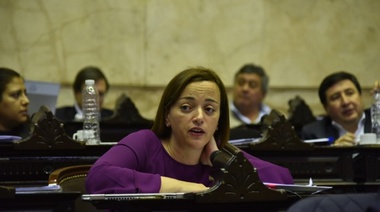 Cecilia Moreau: “La Ley Nacional de Equinoterapia es una deuda”