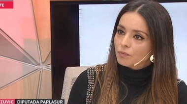 Mariana Zuvic: "Cargaron 100 kilos de cocaína en el Tango 03 por pedido de Aníbal Fernández"