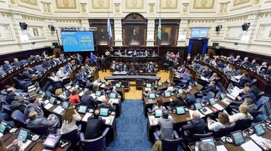 Los 92 diputados bonaerenses hicieron pública sus declaraciones juradas