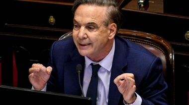 Pichetto pidió "reconstruir las Fuerzas Armadas"