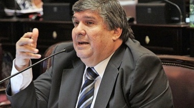 Mayans admitió que "hay disconformidad" con Pichetto e insinuó una fractura