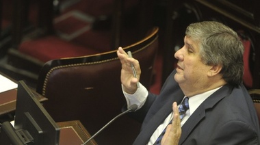 Mayans dijo que es una “vergüenza" debatir el desafuero de Cristina Kirchner