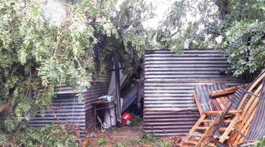 Se les cayó un árbol sobre la casa y murieron aplastados