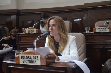 Tolosa Paz: “Garro le tiene que exigir a Vidal los $653 millones por la tasa de capitalidad”