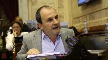 Diputado radical pidió que le habiliten las PASO a Lousteau en Cambiemos