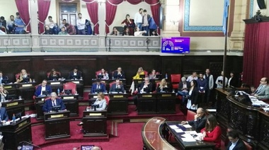 El Senado sancionó la adhesión a la “Ley Micaela”