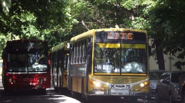 El paro de la UTA no afectará a La Plata y habrá micros en la región