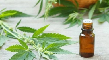 Las farmacias bonaerenses comenzarán a vender aceite de cannabis