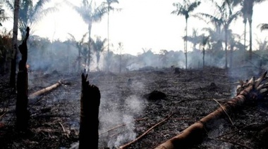 ¿De qué hablamos cuando hablamos de ecología/medio ambiente?
