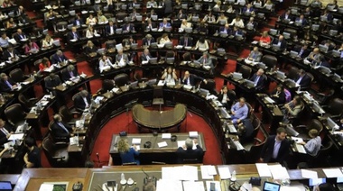 Diputados debate el proyecto que prorroga la Emergencia Alimentaria hasta 2022