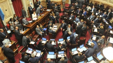 El Senado convirtió en ley la Emergencia Alimentaria