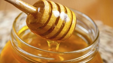 Proponen fomentar el consumo de miel e impulsar la apicultura bonaerense
