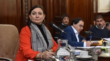 El Concejo Deliberante platense presentó un protocolo de actuación ante violencia de género